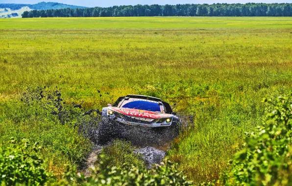 Природа, Поле, Спорт, Скорость, Гонка, Путь, Грязь, День