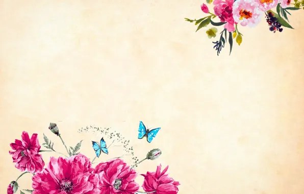 Бабочки, цветы, Фон, Текстура