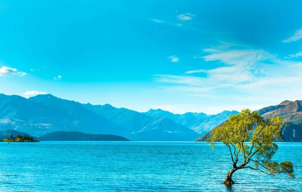Картинка деревья, горы, озеро, mountains, lake, tree