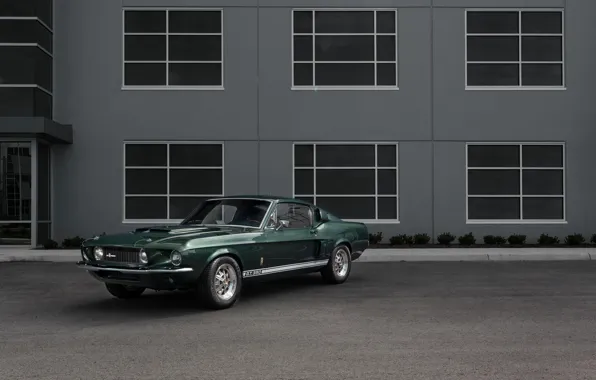 Ford Mustang, 1967, Muscle car, Shelby GT350