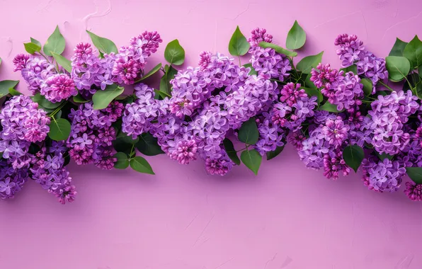 Листья, цветы, ветки, текстура, весна, розовый фон, цветение, сирень