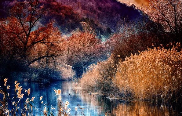 Картинка осень, лес, деревья, горы, озеро, река