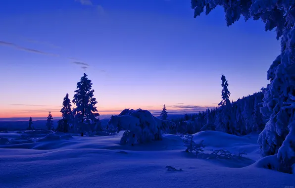 Картинка зима, лес, небо, облака, снег, деревья, закат, вечер