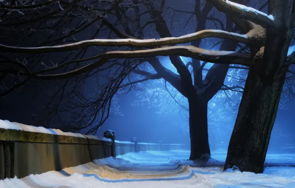 Картинка зима, свет, снег, деревья, ночь, природа, парк, стена
