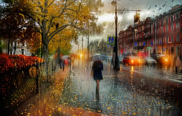 Картинка девушка, дождь, зонт, Санкт-Петербург, Октябрь