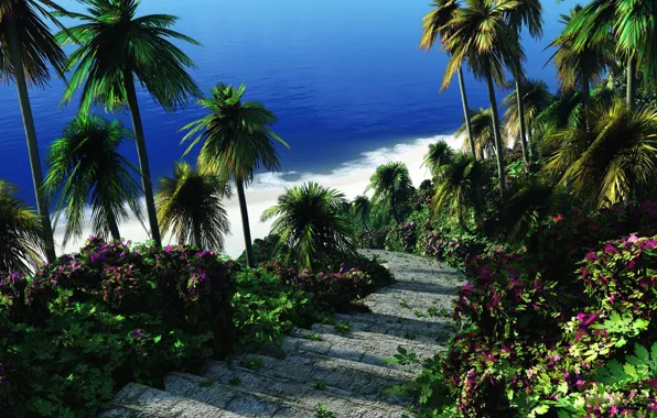 Картинка море, зелень, цветы, тропики, пальмы, лестница, ступеньки