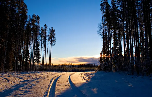 Картинка зима, дорога, лес, снег, деревья, дерево, рассвет, пейзажи