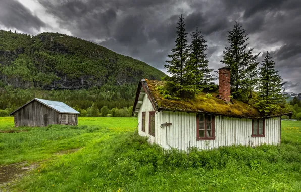 Крыша, деревья, горы, природа, дом, мох, house, Norway