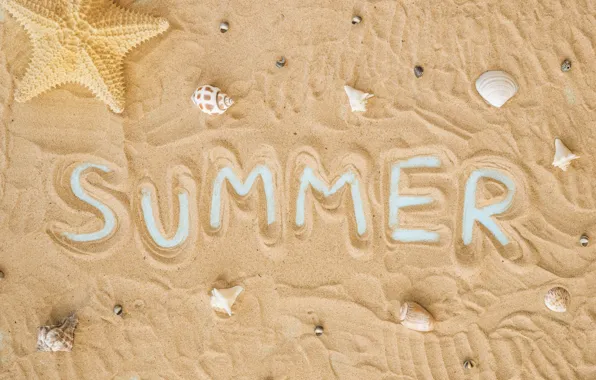 Картинка песок, пляж, фон, текстура, ракушки, summer, beach, texture