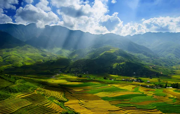 Картинка осень, небо, облака, лучи, свет, поля, долина, Вьетнам