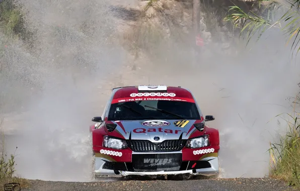 Картинка Брызги, Skoda, Fabia, Шкода, WRC2, Фас