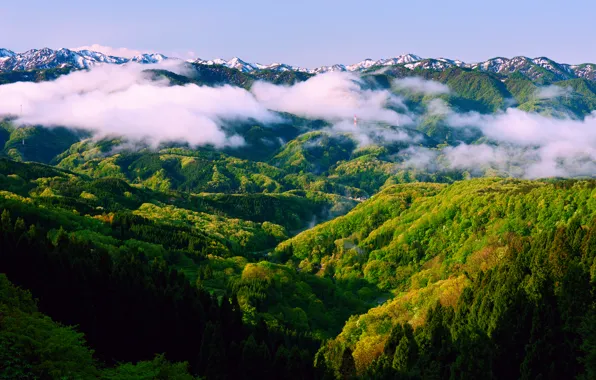 Картинка лес, небо, горы, туман, весна, утро, Япония, Хонсю