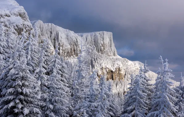 Картинка зима, гора, леревья