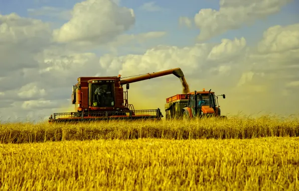 Картинка пшеница, поле, пейзаж, машины, сено, grass, autumn, fields