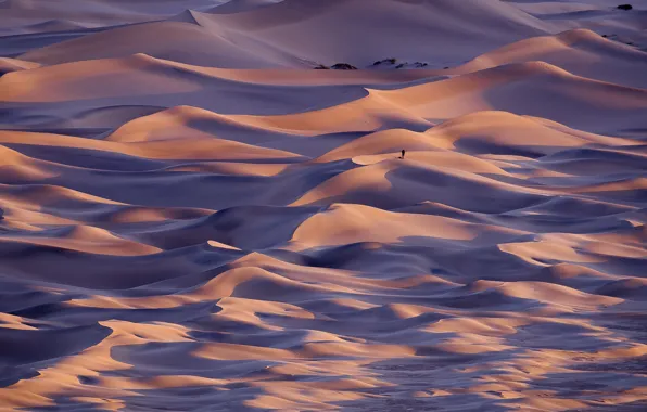 Картинка пустыня, дюны, Калифорния, фотограф, США, штат, Долина Смерти