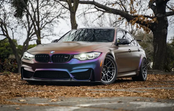 BMW, Autumn, F80, Sight