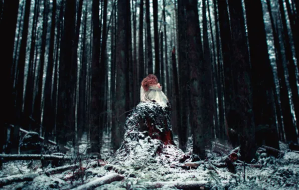 Картинка лес, девушка, снег