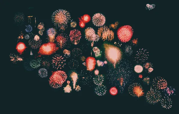 Картинка lights, flowers, explosions, fireworks