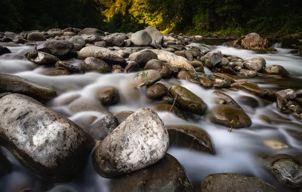 Вода, природа, река, камни, берег, течение, поток, речка