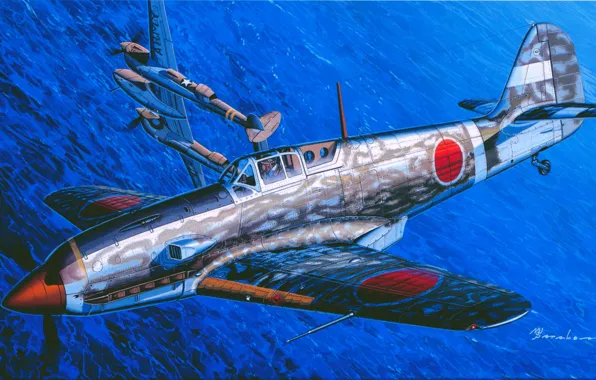Истребитель, Hien, Ki-61, Боевой самолет, Императорская япония