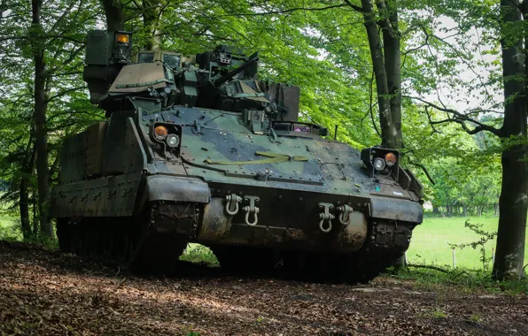 Машина, боевая, пехоты, M3 Bradley