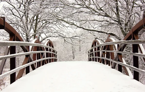 Зима, снег, деревья, ветки, мост, природа, ограда