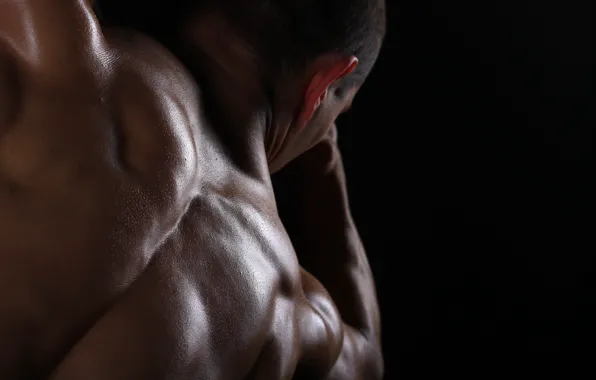 Muscle, man, body, sports, fitness, strong