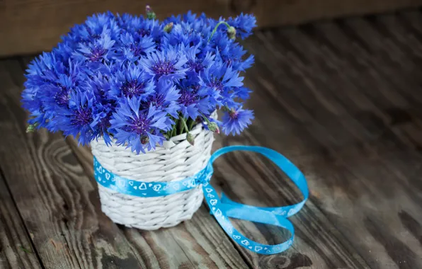 Цветы, синий, букет, васильки