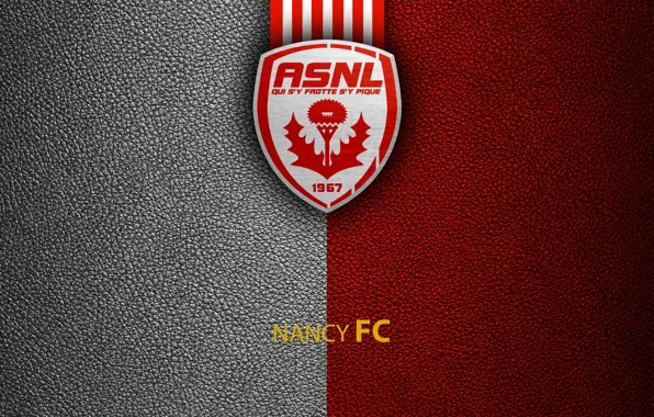 Wallpaper, sport, logo, football, Nancy, Ligue 1