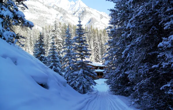 Картинка зима, снег, деревья, горы, природа, дом, парк, фото