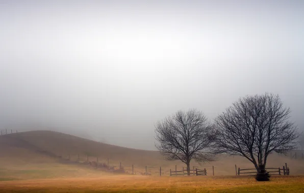 Картинка поле, пейзаж, туман, забор