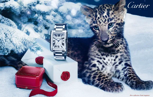 Стиль, коробка, подарок, часы, леопард, Cartier