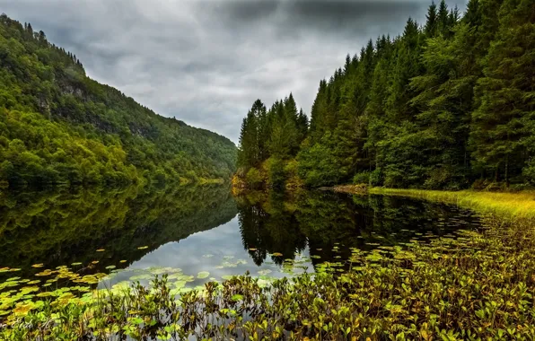Лес, озеро, Норвегия, Norway, Osteroy, Kossdalen valley, Остерёй