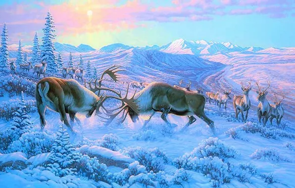 Картинка зима, лес, животные, снег, горы, драка, рога, олени