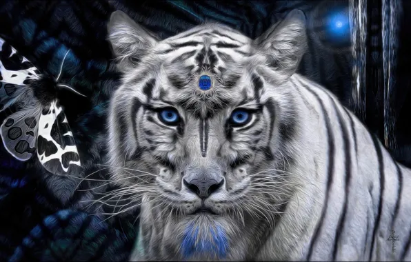 Картинка белый, тигр, камень, мистика