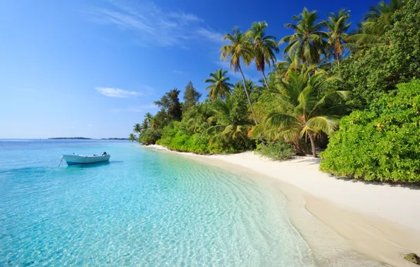 Вода, прозрачность, тропики, пальмы, океан, лодка, Maldives, Dhigurah Island