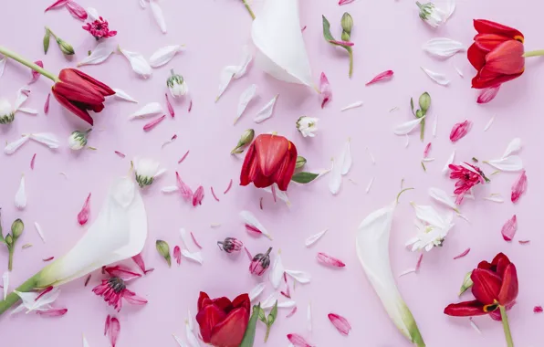 Картинка цветы, лепестки, тюльпаны, красные, red, flowers, tulips, petals