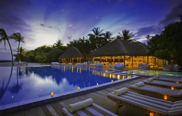 Пальмы, океан, бассейн, курорт, exotic, resort