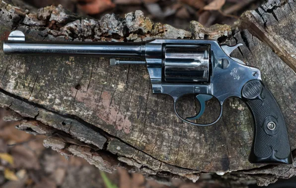Police, Colt, 1912