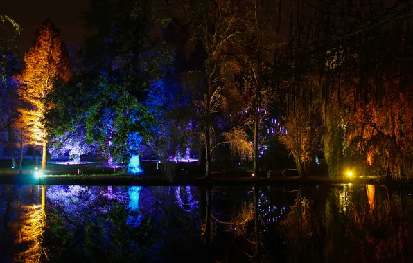 Картинка свет, деревья, ночь, огни, пруд, парк