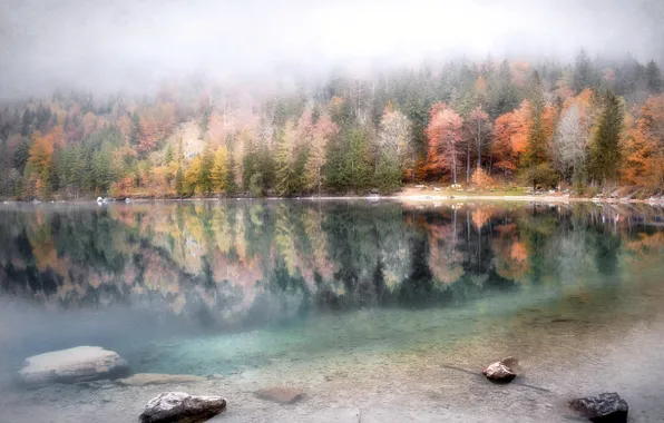 Картинка осень, природа, озеро