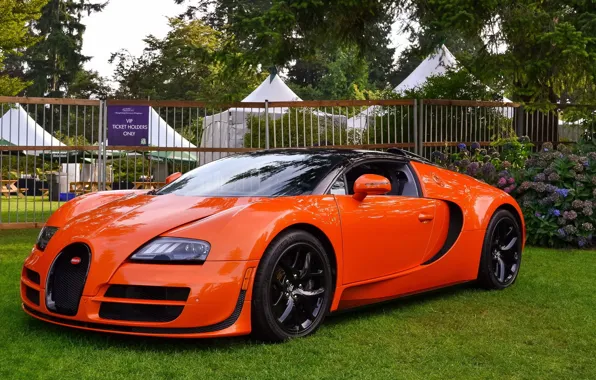 Картинка veyron, bugatti, orange, vitesse