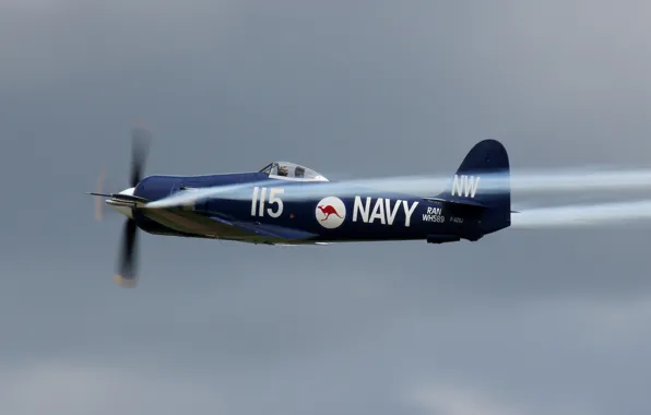 Картинка небо, истребитель-бомбардировщик, палубный, WW2, ВМС Австралии, Hawker &ampquot;Sea Fury&ampquot; FB.Mk.11