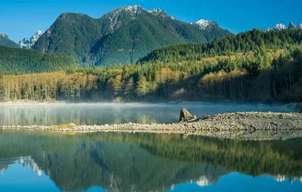 Деревья, горы, озеро, отражение, Eunice Lake, Washington State, Cascade Range, Гора Рейнир