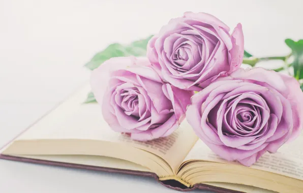 Картинка цветы, розы, букет, книга, love, vintage, flowers, romantic