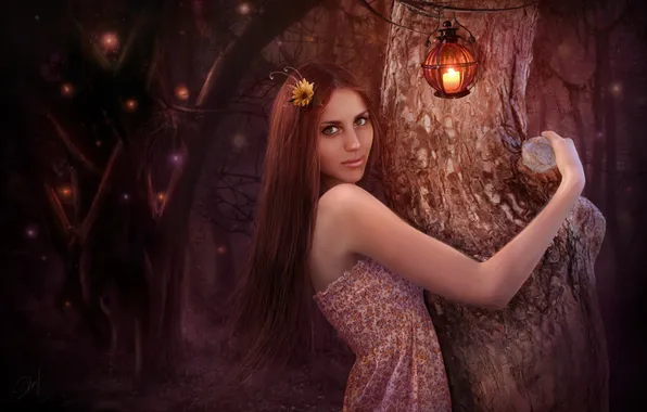 Картинка лес, деревья, ночь, улыбка, арт, шатенка, фонарики, нарисованная девушка