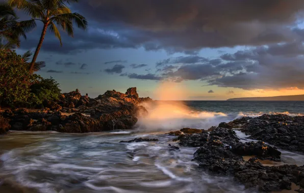 Картинка закат, пальмы, океан, побережье, Гавайи, Pacific Ocean, Hawaii, Тихий океан