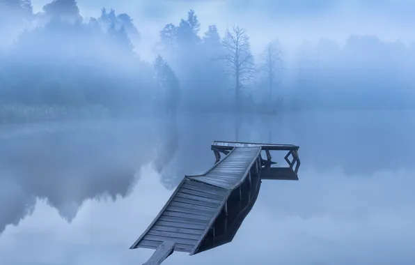 Картинка деревья, боке, старый пирс, Туманное утро, Sergey Martyushin