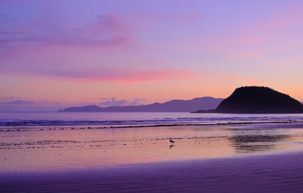 Sea, coast, New Zealand, Tokerau Beach