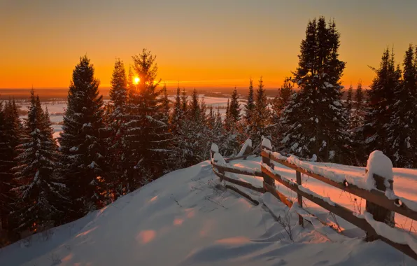 Nature, Winter, Landscape, Sun, Snow, Sunrise, Firs